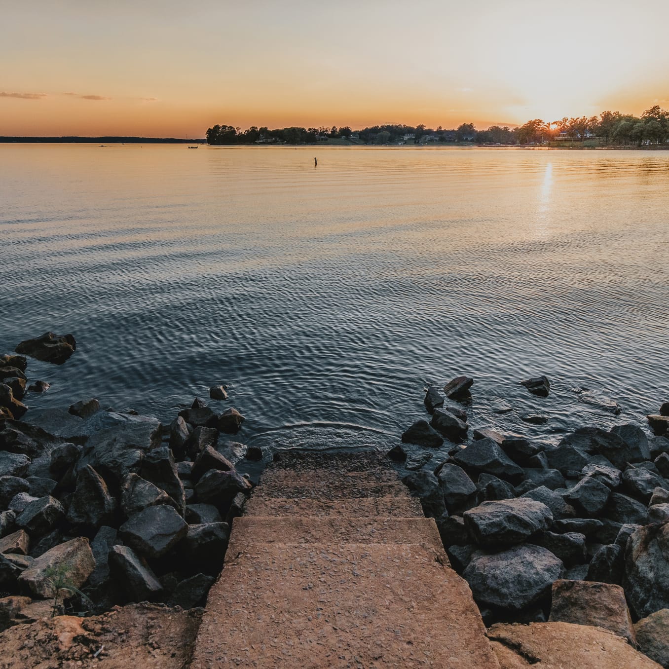 Welcome to Costa and Williams